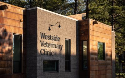Westside Veterinary Clinic