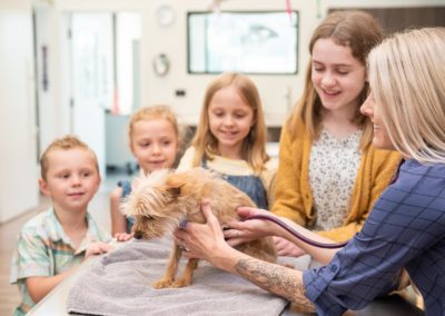 SQUIRREL & KIDDOS 01