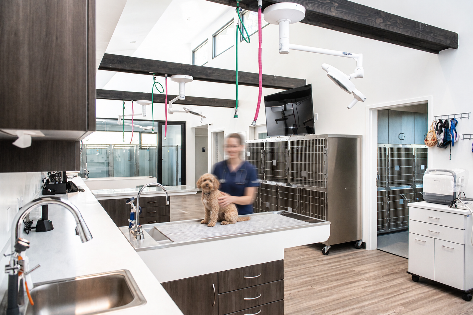 INT - KENNEL - 01.1